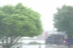 Bão số 9 giật trên cấp 17, tâm bão là khu vực Quảng Ninh-Hưng Yên 