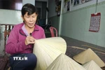 Làng nghề nón lá giúp nhiều hộ dân, đặc biệt là phụ nữ có việc làm tại chỗ. (Ảnh: Đình Quân/TTXVN)