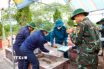 Các lực lượng tham gia khai quật, lấy mẫu ADN phần mộ liệt sỹ. (Ảnh: Hữu Quyết/TTXVN)