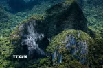Núi đá vôi karst tại Phong Nha-Kẻ Bàng với các cửa hang lớn mở ra giữa rừng nguyên sinh, phản ánh quá trình kiến tạo địa chất kéo dài hàng triệu năm. (Ảnh: Kha Phạm/TTXVN)