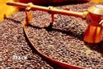 Càphê Gia Lai. (Ảnh: Hồng Điệp/TTXVN)