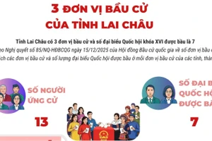 Tỉnh Lai Châu có 3 đơn vị bầu cử và số đại biểu Quốc hội khóa XVI được bầu là 7