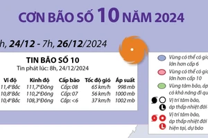 Dự báo hoạt động của bão số 10 trong năm 2024