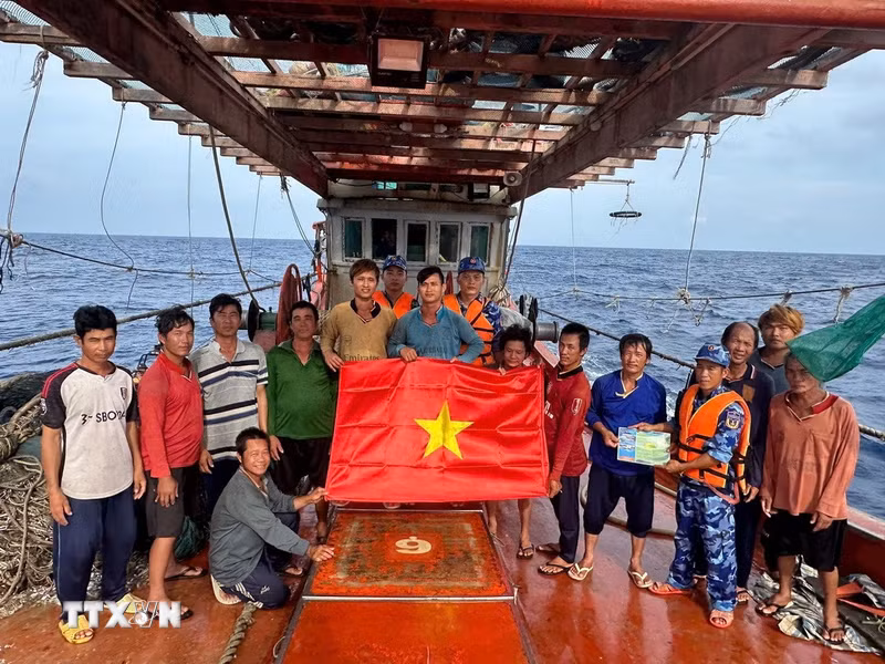 Khắc phục thẻ vàng IUU: Thành phố Hồ Chí Minh số hóa nhật ký tàu cá