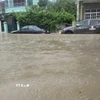 Nhiều ôtô bị ngập ở phường Bắc Nha Trang. (Ảnh: Đặng Tuấn/TTXVN)