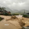 Nhiều thôn, bản ở tỉnh Lào Cai bị cô lập do nước lũ dâng cao. (Ảnh: TTXVN phát)
