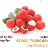 Vải thiều Bắc Ninh được giá, giá bán tại vườn từ 55.000 đến 70.000 đồng mỗi kg
