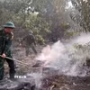 Cán bộ chiến sỹ Đồn Biên phòng cửa khẩu cảng Chân Mây, Ban Chỉ huy Bộ đội Biên phòng thành phố Huế phối hợp với chính quyền địa phương kịp thời khống chế vụ cháy rừng tại xã Chân Mây-Lăng Cô. (Ảnh: TTXVN phát)