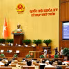 Quốc hội thông qua Nghị quyết của Quốc hội về việc sắp xếp đơn vị hành chính cấp tỉnh năm 2025. (Ảnh: Doãn Tấn/TTXVN)