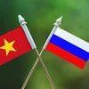 Các học giả khẳng định quan hệ hữu nghị truyền thống tốt đẹp Nga-Việt Nam luôn được củng cố và ngày càng phát triển. (Nguồn: Vietnam-briefing)