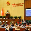 Quốc hội biểu quyết thông qua Luật sửa đổi, bổ sung một số điều của Luật Tổ chức Tòa án Nhân dân. (Ảnh: Doãn Tấn/TTXVN)
