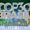 Hội nghị lần thứ 30 các bên tham gia Công ước khung Liên hợp quốc về biến đổi khí hậu (COP30), dự kiến tổ chức từ ngày 10 đến 21/11. (Nguồn: Getty Images)