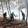 Lực lượng chức năng thực hiện các biện pháp chữa cháy rừng. (Ảnh: TTXVN phát)