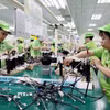 Dây chuyền sản xuất cụm dây dẫn điện một doanh nghiệp FDI ở Phú Thọ. (Ảnh: Trần Việt/TTXVN)