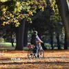 Người dân đạp xe trên thảm lá thu tại Berlin, Đức. (Ảnh: THX/TTXVN)