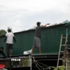 Người dân Nghệ An gia cố mái tôn, ứng phó với bão số 5. (Ảnh: Văn Tý/TTXVN)