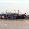 Tàu thuyền neo đậu tránh bão. (Ảnh minh họa: Thái Thuần/TTXVN)
