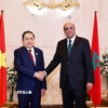 Chủ tịch Quốc hội Trần Thanh Mẫn hội kiến Chủ tịch Thượng viện Maroc Mohamed Ould Errachid. (Ảnh: Doãn Tấn/TTXVN)