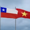 Quốc kỳ Việt Nam và quốc kỳ Chile.