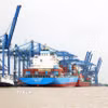 Bốc dỡ hàng hóa xuất nhập khẩu ở cảng Cát Lái, Thành phố Hồ Chí Minh. (Ảnh: Hồng Đạt/TTXVN)