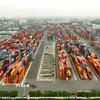 Cảng Quốc tế Tân Cảng-Cái Mép ở phường Tân Phước, thị xã Phú Mỹ, tỉnh Bà Rịa - Vũng Tàu. (Ảnh: Vũ Sinh/TTXVN)
