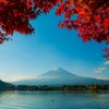 Khung cảnh tuyệt đẹp của núi Phú Sĩ được tô điểm bởi sắc đỏ rực rỡ của lá phong. (Ảnh: Xuân Giao/TTXVN)