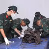 Các quy trình sau khi khai quật hài cốt liệt sỹ được thực hiện cẩn thận, tỉ mỉ, khoa học, đảm bảo an toàn. (Ảnh: Xuân Khu/TTXVN)