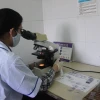 Cán bộ Trung tâm Kiểm soát Bệnh tật tỉnh Khánh Hòa soi mẫu máu nhằm phát hiện nhanh số ca mắc sốt rét trong cộng đồng. (Ảnh: Phan Sáu/TTXVN)