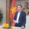 Phó Thủ tướng Bùi Thanh Sơn phát biểu tại cuộc họp. (Ảnh: Chu Thanh Vân/TTXVN)
