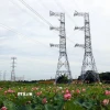 Tuyến đường dây 500kV. (Ảnh: Huy Hùng/TTXVN)