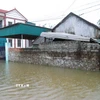 Do nước dâng nhanh, đường dân sinh bị ngập sâu, nhiều nhà dân ở vùng trũng, thấp trên địa bàn tỉnh Nghệ An bị cô lập. (Ảnh: Xuân Tiến/TTXVN)