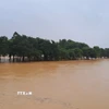 Cồn Dã Viên giữa sông Hương, thành phố Huế vẫn bị ngập sâu do lũ còn trên báo động 3 là 0,37m. (Ảnh: Nguyên Lý/TTXVN)