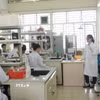 Giờ giảng dạy thực hành tại phòng thí nghiệm tại Trường Đại học Khoa học Sức khoẻ, Đại học Quốc gia Thành phố Hồ Chí Minh. (Ảnh: Thu Hoài/TTXVN)