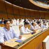 Đoàn đại biểu Quốc hội Thành phố Hồ Chí Minh dự phiên họp. (Ảnh: Doãn Tấn/TTXVN)