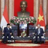 Tổng Bí thư, Chủ tịch nước Tô Lâm tiếp Tổng thống đắc cử Cộng hoà Indonesia Prabowo Subianto sang thăm và làm việc tại Việt Nam (Hà Nội, 13/9/2024). (Ảnh: Lâm Khánh/TTXVN)