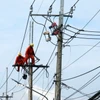 Nâng cấp, sửa chữa lưới điện ở An Giang. (Ảnh: Lê Huy Hải/TTXVN)