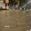 (Ảnh minh họa: Phạm Cường/TTXVN)