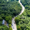 Một góc Vườn Quốc gia Cúc Phương, nơi nam du khách mất tích nhiều ngày qua. (Nguồn: Vườn Quốc gia Cúc Phương)