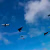 Máy bay ném bom B-2 của Mỹ. (Ảnh: Pacific Air Forces)