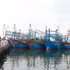 Tàu cá vào neo đậu tại Bến cá Bắc Cửa Việt, huyện Gio Linh (Quảng Trị) để tránh trú bão số 1. (Ảnh: Nguyên Lý/TTXVN)