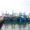 Tàu cá vào neo đậu tại Bến cá Bắc Cửa Việt, huyện Gio Linh (Quảng Trị) để tránh trú bão số 1. (Ảnh: Nguyên Lý/TTXVN)