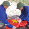 (Ảnh minh họa: TTXVN phát)