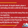 Chỉ đạo của Ban Bí thư về ứng phó với cơn bão số 5 