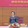 Phó Thủ tướng Chính phủ Phạm Thị Thanh Trà phát biểu chỉ đạo tại buổi làm việc. (Ảnh: Hương Thu/TTXVN)