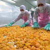 Chế biến nông sản xuất khẩu. (Ảnh: Vũ Sinh/TTXVN)