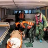 Biên phòng Quảng Ninh hỗ trợ đưa bà Kosuge Kimiko (sinh năm 1949, quốc tịch Nhật Bản) bị đột quỵ vào bờ an toàn để cấp cứu. (Ảnh: TTXVN phát)
