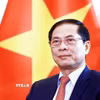Phó Thủ tướng, Bộ trưởng Bộ Ngoại giao Bùi Thanh Sơn. (Ảnh: TTXVN phát)