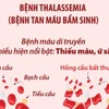 Cùng nhau vì Thalassemia: Đoàn kết cộng đồng, ưu tiên bệnh nhân