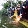 Chủ tịch nước Lương Cường và Phu nhân cùng kiều bào thả cá chép tiễn ông Công, ông Táo tại Ao cá Bác Hồ trong Khu Di tích Phủ Chủ tịch (Hà Nội). (Ảnh: Lâm Khánh/TTXVN)