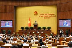 Quốc hội thảo luận ở hội trường về dự án Luật Dầu khí (sửa đổi). (Ảnh: Doãn Tấn/TTXVN)